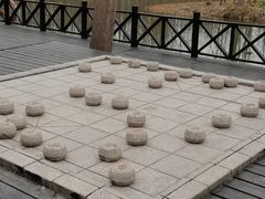 -合肥滨湖国家森林公园