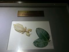 -上海昆虫博物馆