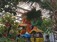 -南宫五洲植物乐园