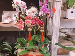 -良友花店(天目山路店)