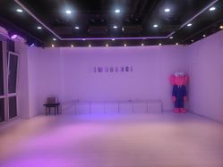 -泽舞·国际流行舞