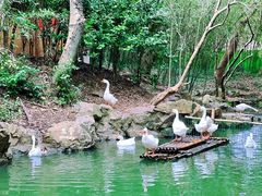 -兰亭风景区