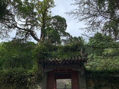 -青岛崂山太清宫