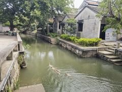 -丝绸小镇荻港古村