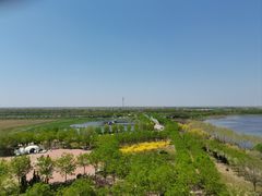 -南大港湿地风景区