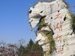 -贡湖湾湿地公园