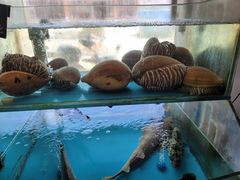 -渔鼎鲜海鲜餐厅(湄洲岛店)