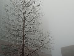 -太仓市第一人民医院