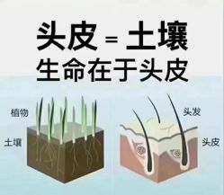 -丝域养发馆
