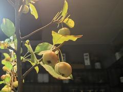 -麦秋寿司(富都广场店)