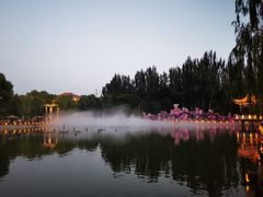 -金城公园