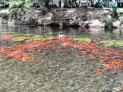 -水磨沟公园