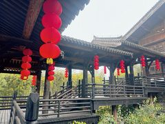 -大唐贡茶院