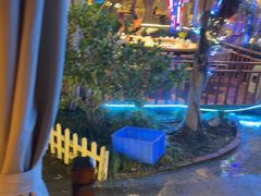 -醉二娘正宗西昌火盆烧烤(大丰店)