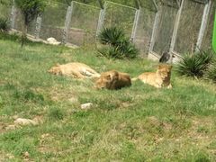 -西安秦岭野生动物园