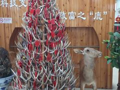 -北京鹿世界主题园