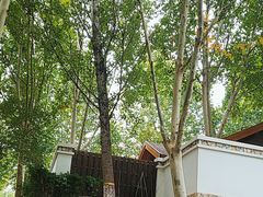 -静之湖湖畔餐厅