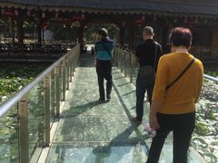 -揭东万竹园旅游景区