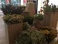 -新梦百货(民族店)