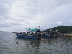 -后海村