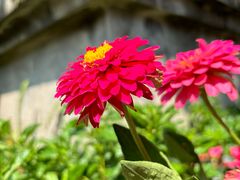 -成都杜甫草堂博物馆
