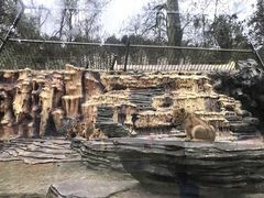 -贵州森林野生动物园