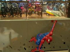 -天虹购物中心(石路店)