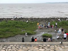 -南汇嘴观海公园