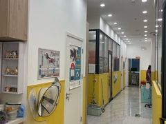 -瑞派·爱瑞可动物医院·口腔专科(广华新城分院)