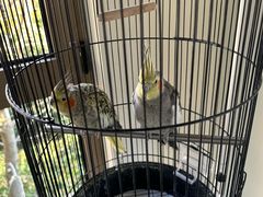 -浙江安吉JW万豪酒店·万豪中餐厅