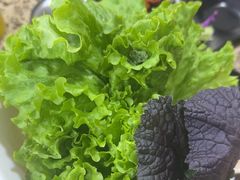 -真利味·脊骨火锅·正宗韩国料理(韩乐坊店)