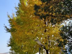 -上海市保健医疗中心