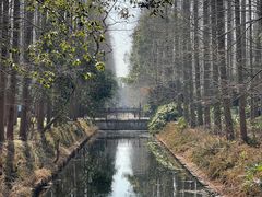 -东平国家森林公园