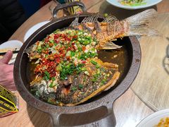 -聚鑫朋酸菜肥肠(文艺路口店)