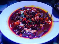 -眼镜哥浦江夜宵大本营