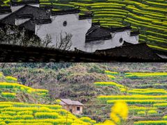 -大鄣山卧龙谷景区