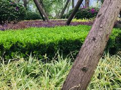 -合景·悠方(成都店)