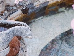 -国御温泉度假小镇