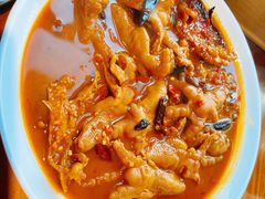 -红辣椒八爪鱼特色韩国料理