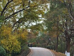 -南京市江宁方山