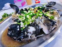 -旅南活海鲜-屏东(墾丁海鮮，海鮮餐廳，墾丁團體合菜，平價熱炒，墾丁熱炒店，活海鮮推薦，在地海鮮餐廳)