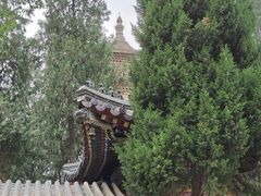 -兴教寺