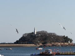 -郑庄脂渣海鲜楼(九水路店)