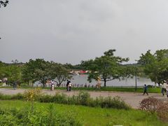 -大塘金香草谷