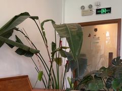 -禾气食店