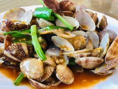 -七鲜渔港美食餐厅(巽寮湾海景店)