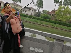 -嘉定紫藤园