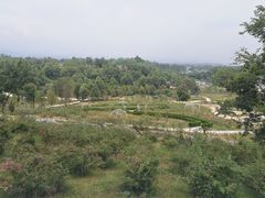 -都江堰玫瑰花溪谷