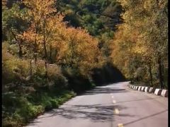 -白草畔自然风景区