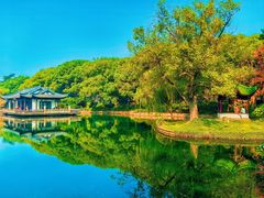 -无锡蠡湖国家湿地公园-蠡园